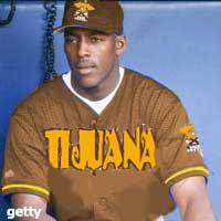 Vladimir Guerrero